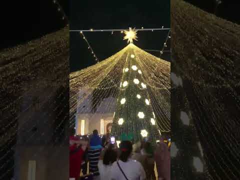 Árbol de navidad 2025 Soledad Atlántico Colombia