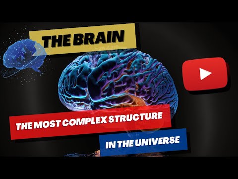 The Brain: The Most Complex Structure in the Universe