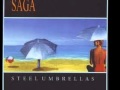 SAGA - NEVER ALONE.flv 