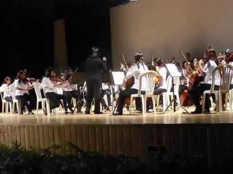 Merengue del primer dedo. Orquesta juvenil nucleo Mara.