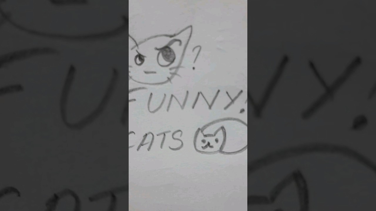Some fun cat doodles  #youtubeshorts #catlover