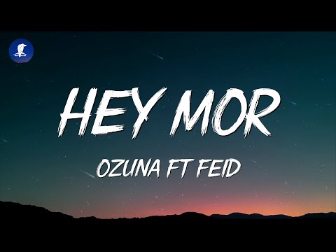 Hey Mor - Ozuna Ft. Feid (Letra /Lyrics)