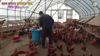 아파도 아프다고 말못하는 동물, 천연 효소로 다스리다(Healing animals with natural e…