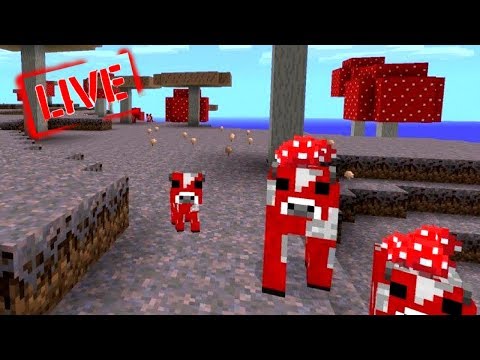 VANILLA IN LIVE: ALLA RICERCA DELLA MUSHROOM ISLAND!