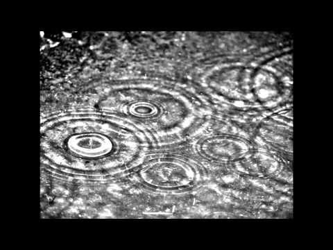 Bosques de mi Mente - Lo mas importante es invisible