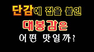 [텃밭농부.814]  단감에 대봉감을 접붙이면 어떤 맛?