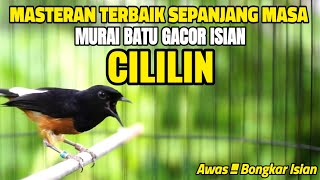 Download lagu TEMBAKAN BURUNG MURAI BATU ISIAN CILILIN COCOK BUAT MASTERAN MURAI ANDA mp3