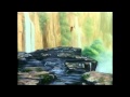 Tarzan Trailer VHS 2000 Portugal