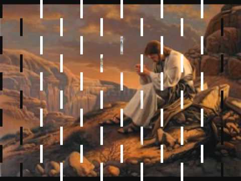 Homilía del 18° Domingo del TO - Ciclo A - 31 julio 2011