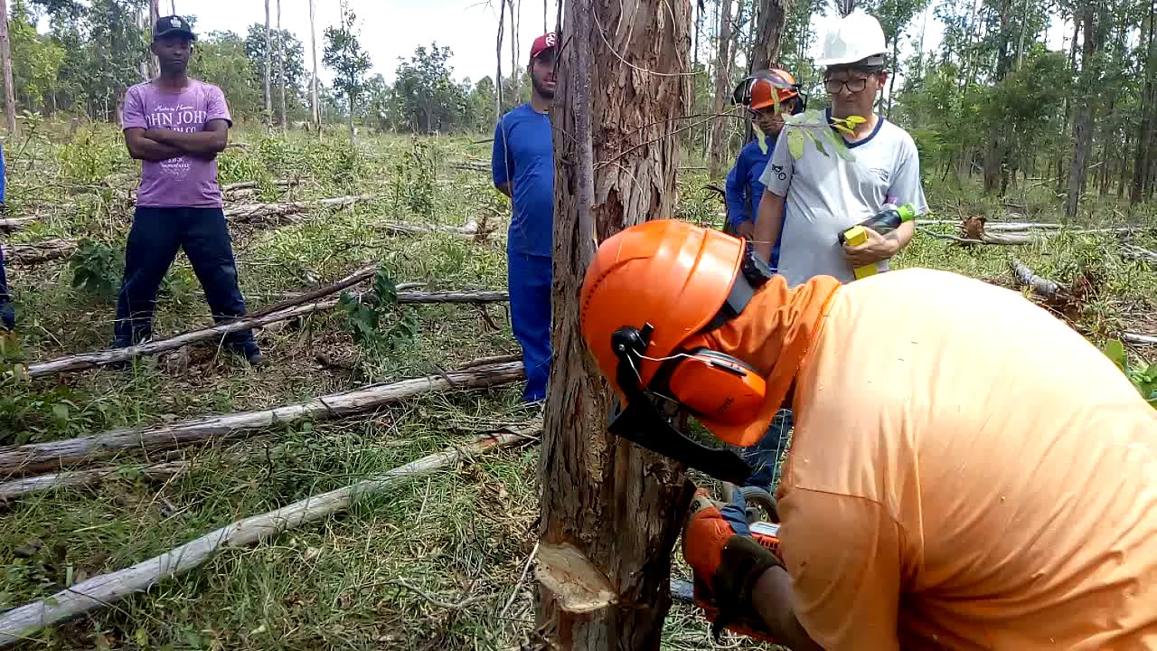 José Carlos Costa Curso para operador de motoserra completo com José Carlos Costa