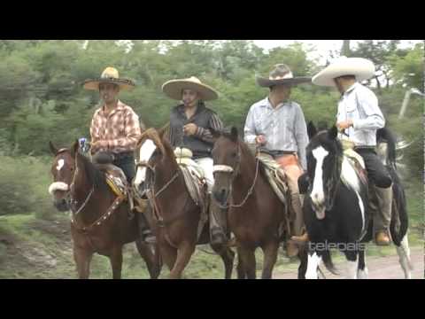 Lo Mejor De Los Coleaderos  2011