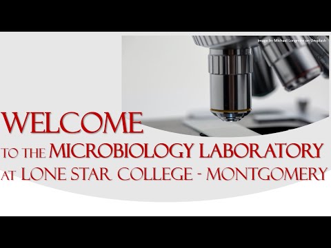 An Orientation to the Microbiology Lab