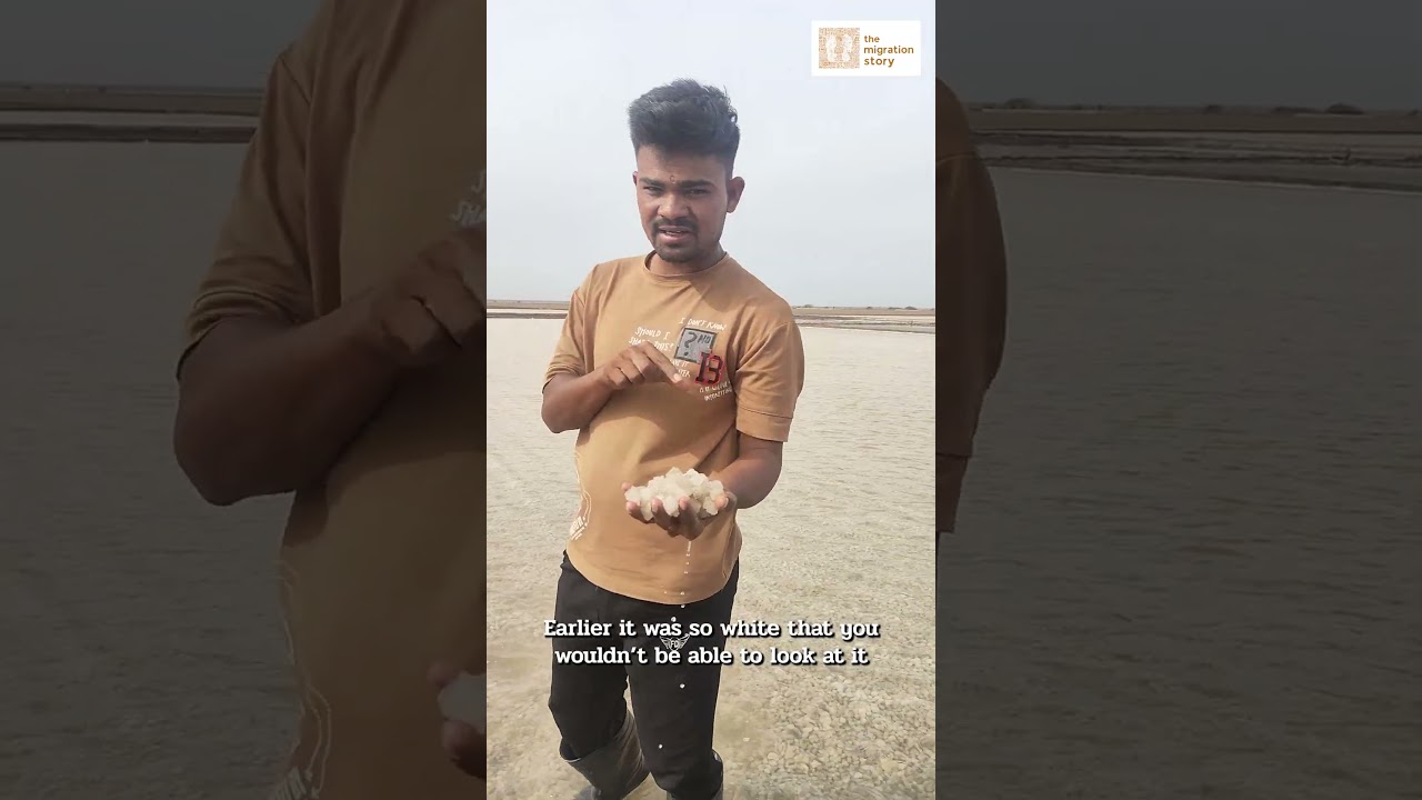 When the salt turns brown | Migration | Gujarat | Kutch | Salt pans | India | Climate Crisis
