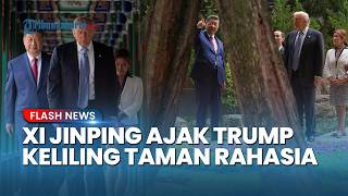 Eksklusif! Xi Jinping Tunjukkan Taman Rahasia Zhongnanhai yang Jarang Dibuka ke Donald Trump