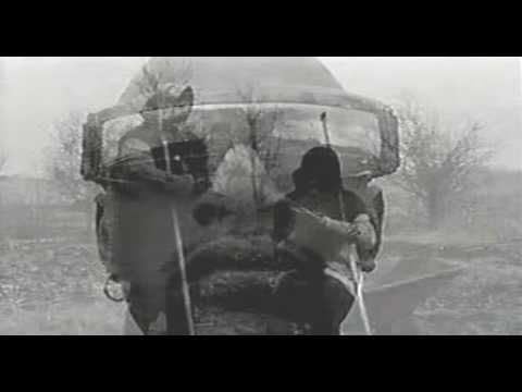 Thumbnail of the video: Gay Niggers from Outer Space - Clearing Russia