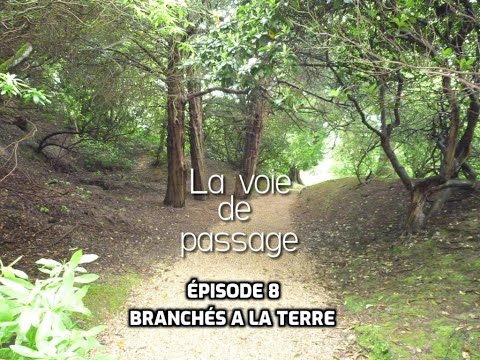 Branchés a la terre