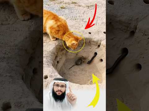 مشهد صغير يذكّرنا أن لطف الله يسبق كل خوف، وأن الحفظ بيده وحده #youtubeshorts #اكسبلور #لايك #viral