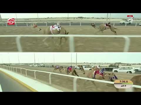 ش 14 (الوثبه) لـ حمد محمد بن سالم الوهيبي 12:31:11 ، مهرجان ختامي الشحانية 2026/04/27 حول