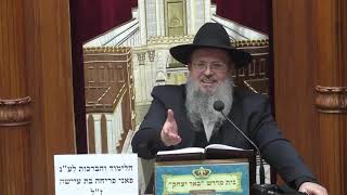 פרשת השבוע | הרב דוד לוי | פרשת תרומה - אם ביאור אור החיים הקדוש - נפלא - ג' אדר - תשפ"ו