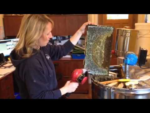Extracting Honey with a Heat Gun by Urban Bee Supplies