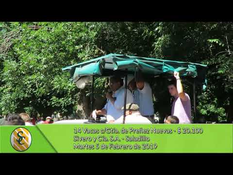 5-2-19 - Venta de Vientres - Sivero y Cía S.A. - Saladillo