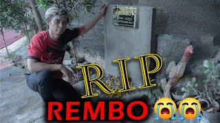 Download lagu RIP REMBO mp3