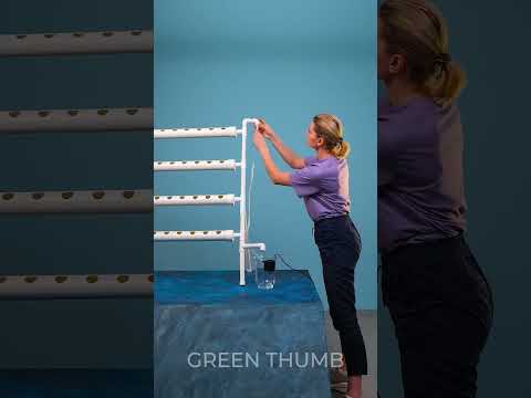 DIY Budget Friendly Hydroponic System at Home ☘