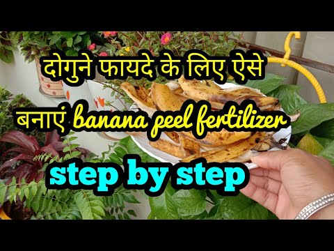 ऐसे बनाएं banana peel fertilizer step by step 100%रिजल्ट के लिए,Best Organic Homemade fertilizer