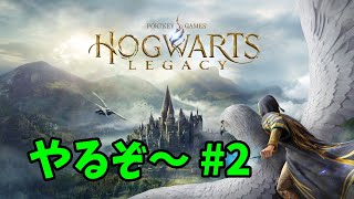 魔法で痩せたい #2【ホグワーツレガシー】