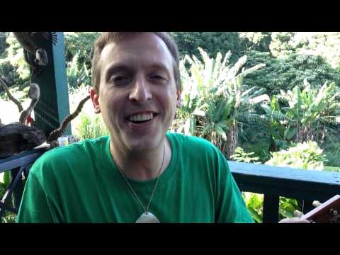 ゼンタングルフラ (Zentangle Hula)