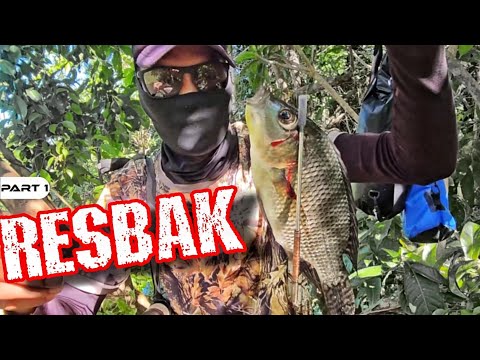 P1 - Niresbakan Namin ang mga Jumbo Tilapya - EP1652