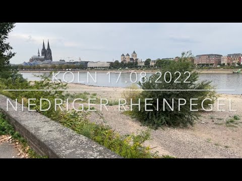 Köln-Insights / Niedriger Rheinpegel am 17.08.2022 / Zoobrücke / Rheinpark  / Bastei / Kölner Dom
