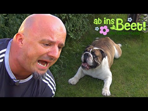 Detlef am Limit: "Hast du nen Sockenschuss?!" 😡 | Ab ins Beet! | Ganze Folge | RTL Haus & Garten