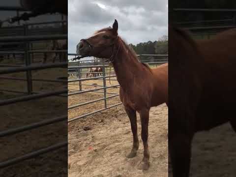 TAG 3173 Training USA 6