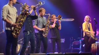 Jungle by Night @ Felabration (De Roma)