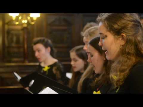 Cantate Domino, Pitoni