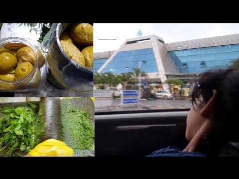 നാട്ടിൽ നിന്ന് UAE ലേക്ക് || Tirur to UAE Vlog | Food Packing | End Of Summer Vacation Video