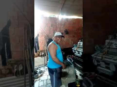 COUVER TONEY BARRET  SOUND SISTEM PINHO DO REGGAE 🇯🇲