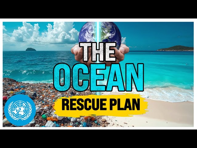  Fabien Cousteau explains how to save the ocean