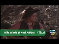 Wild World of Hasil Adkins