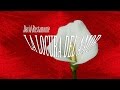 La locura del amor - David Bustamante (Con Letra)