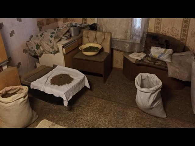 Более 40 килограммов дикорастущей конопли обнаружили  полицейские у жителя села Новожилкино.