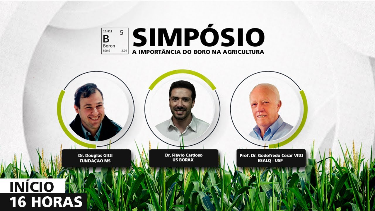 BORO NAS PLANTAS - IMPORTÂNCIA E FUNÇÕES