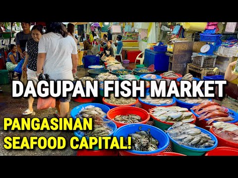 DAGUPAN FISH MARKET TOUR - Prices of Seafoods 2025 | Seafood Capital of Pangasinan, Philippines