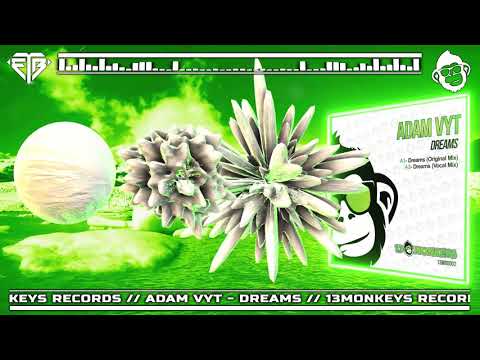 ADAM VYT - DREAMS // 13MONKEYS RECORDS