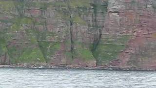 Isola di Hoy - Old man of Hoy