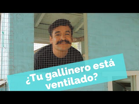 Part of a video titled Gallinero casero: La importancia de la ventilación. - YouTube