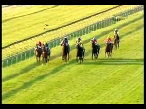 2012-06-26 Scottsville - race 7