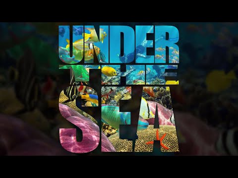 How to Fill Text with an Image in Photoshop