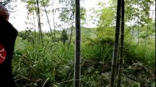 [問卦] 日本武士刀只剩砍竹子的功能嗎